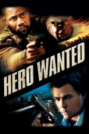Hero Wanted 2008 Hindi Dual Audio 330MB