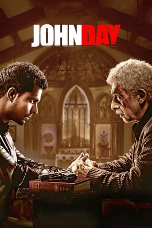 John Day (2013) Hindi Movie - [380MB]