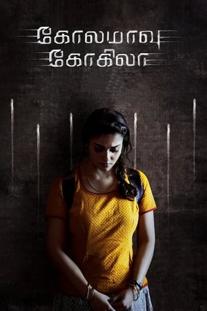 Kolamavu Kokila (2018) Hindi Dual Audio 450MB