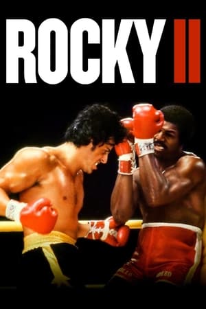 Rocky II (1979) Dual Audio Hindi Full Movie - 850MB
