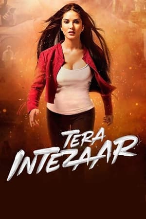 Tera Intezaar 2017 Movie - [300MB]