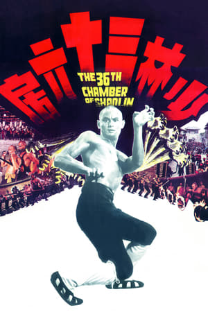 the 36th Chamber of Shaolin 1978 Hindi Dual Audio 360MB