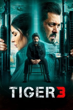 Tiger 3 2023 Hindi (ORG) – 480p